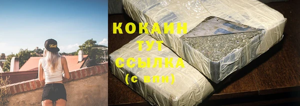 индика Белоозёрский