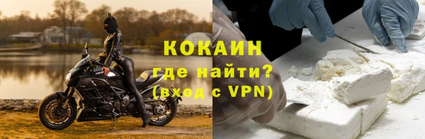 индика Белоозёрский