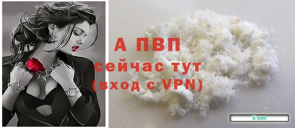 индика Белоозёрский