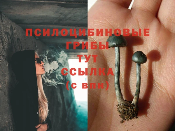 индика Белоозёрский