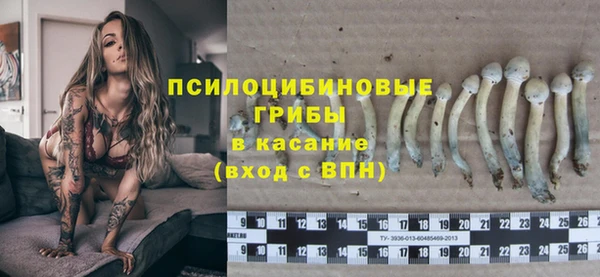 индика Белоозёрский