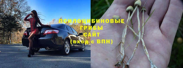 индика Белоозёрский