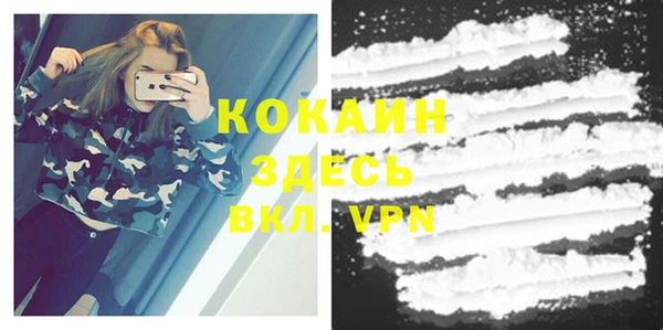 индика Белоозёрский