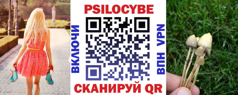 Галлюциногенные грибы Psilocybe  Окуловка 